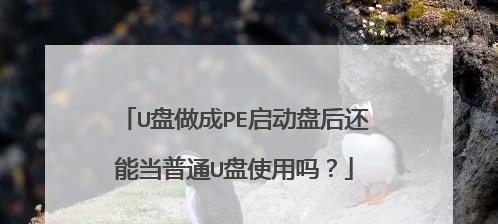 一文解析纯净版PE启动盘制作工具及使用方法（掌握纯净版PE启动盘制作工具）