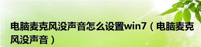 解决苹果麦克风无声问题的方法（分析苹果麦克风无声问题的原因及解决办法）