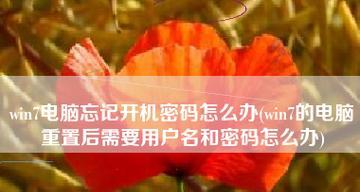 解决电脑开机慢的问题（优化开机密码设置加速电脑启动）
