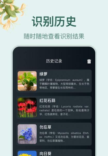 安卓手机App开发软件有哪些？推荐使用的开发软件是什么？