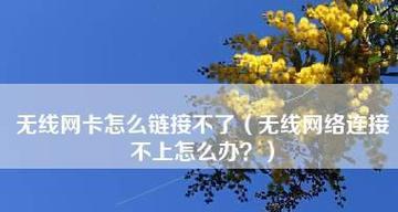 无线网已连接但无法上网解决方法是什么？无线网络连接问题解决步骤有哪些？