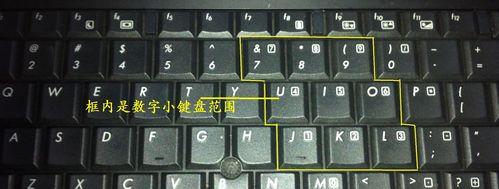 台式电脑键盘打不出字解决方法是什么？台式电脑键盘解锁方法是什么？