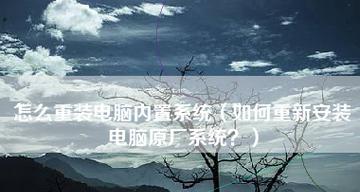 新手电脑重装系统教程？如何一步步操作？