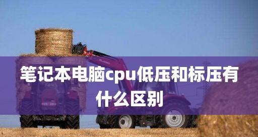 笔记本cpu使用率高怎么办？如何优化电脑性能？