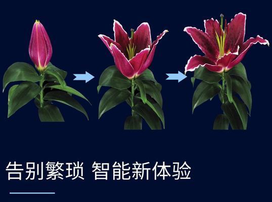 3d投影仪飞出屏幕效果的名称是什么？