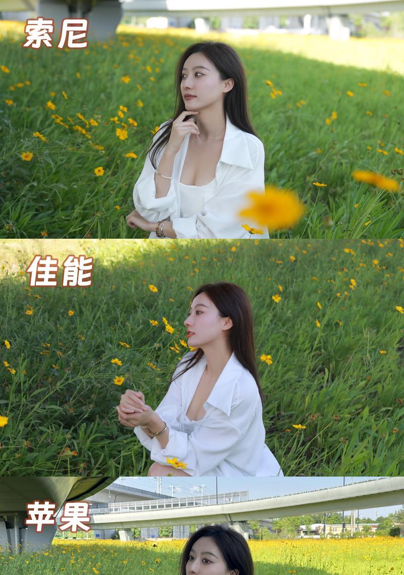 摄影机手机拍照效果图怎么设置？设置方法是什么？
