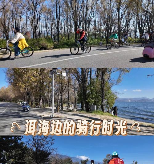 电瓶车骑行洱海路线怎么规划？需要注意哪些安全事项？