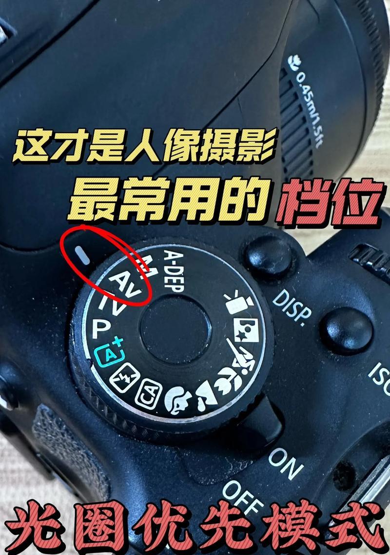 单反相机屏幕显示效果如何调整？有哪些技巧？